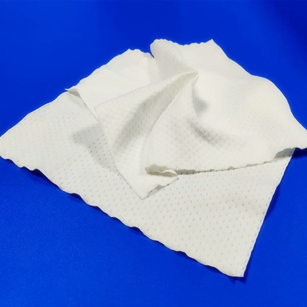 Polyester Cleanroom Wipes 